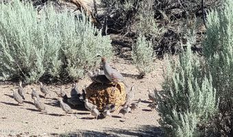 663 HAMPTON CANYON Rd, Aztec, NM 87410