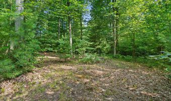 1125 39th St, Allegan, MI 49010