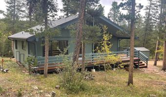 33 N Skinner Rd, Allenspark, CO 80510