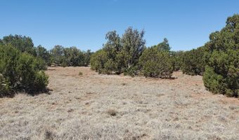 17 County Road 8077, Concho, AZ 85924