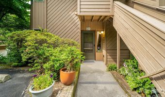 305 Piney Mountain Dr D-1, Asheville, NC 28805