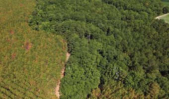 Highway 112, Abbeville, GA 31001