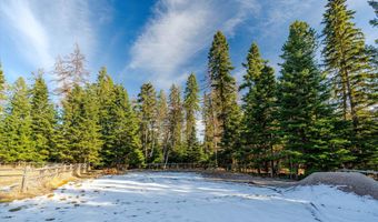 253 Aero Ln, Bigfork, MT 59911