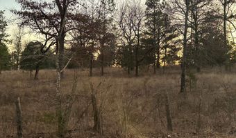 412110 E 1900 Rd, Antlers, OK 74523