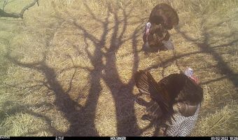 189 Th St, Albia, IA 52531