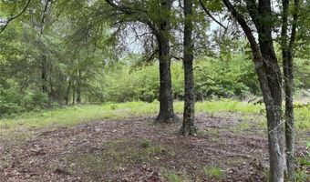 Lot 25 Rains County Road 2610, Alba, TX 75410