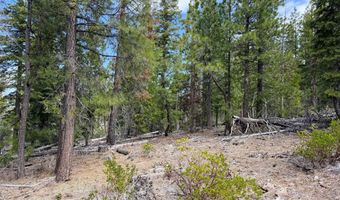 0 Yellowjacket Springs Rd, Beatty, OR 97621