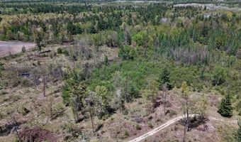 La Grant Road, Alger, MI 48610