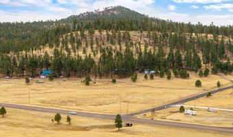 440 2104, Alpine, AZ 85920
