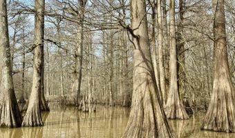 Putnam Road, Belzoni, MS 39038