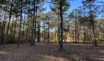 2423 Mill Creek Rd, Bethune, SC 29009