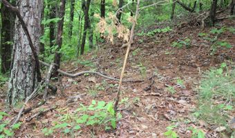 E Mountain Road, Bee Branch, AR 72013
