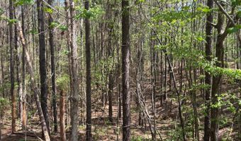 274 CR 3301, Booneville, MS 38829