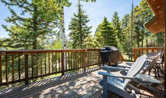 60 Taos Dr, Angel Fire, NM 87710