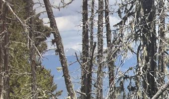 Lot 22 Hinz Drive, Angel Fire, NM 87710