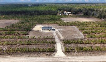 965 NW 55th Ave, Bell, FL 32619
