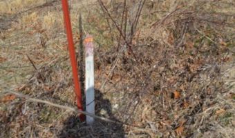 4 13ac Hush Hollow Lane Lot 31-33, Baxter, TN 38544