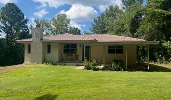 1011 CR 199, Blue Springs, MS 38828