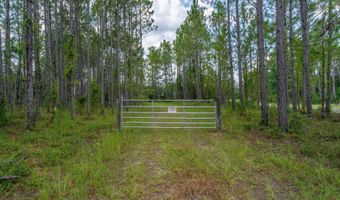 0 Piney Blf, Baxley, GA 31513