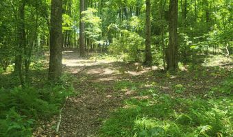 3537 Lake Ridge Ln, Allegan, MI 49010