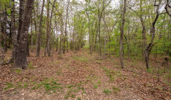 493 County Road 151, Alton, MO 65606