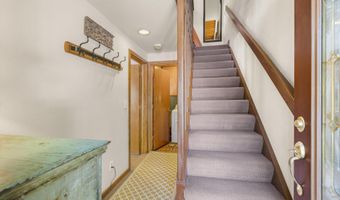 125 E Hyman Ave 1A, Aspen, CO 81611