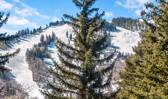 135 Maroon Dr, Aspen, CO 81611