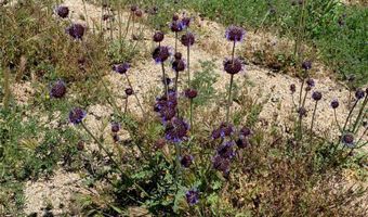 0 Fresz, Aguanga, CA 92536