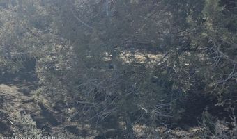ROAD 2772, Aztec, NM 87410