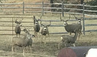 14884 Rist Canyon Rd, Bellvue, CO 80512