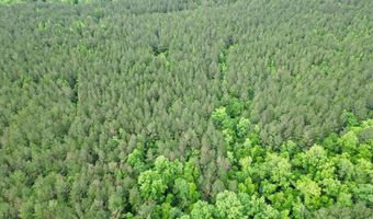 00 County Road 107, Ariton, AL 36311