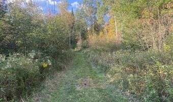 V/L S M-33, Alger, MI 48610