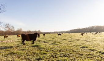 Tract 1 0000 Farm Road 2007, Aurora, MO 65605
