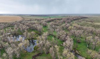 TBD County Road 170, Agate, CO 80101