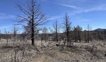 31763 Godowa Springs Rd, Beatty, OR 97621