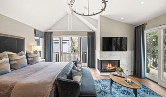 101 E Hallam St, Aspen, CO 81611