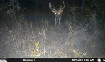 N80 Helt Rd, Antlers, OK 74525