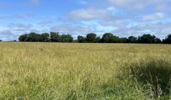 Tract Tbd W Farm Road 64, Ash Grove, MO 65604