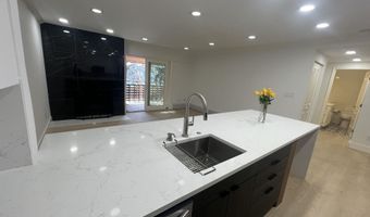 910 W Hallam St 12, Aspen, CO 81611