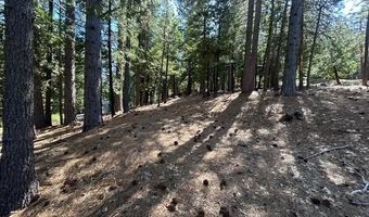 2179 Navajo, Arnold, CA 95223