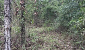 Abraham Street, Alford, FL 32420