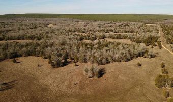 Lake OZZIE COBB 102-B, Antlers, OK 74523