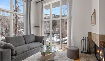 1050 Waters Ave 9, Aspen, CO 81611