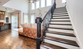 1037 Sarah St, Allen, TX 75013