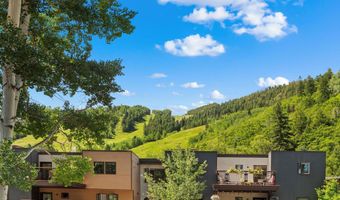 100 E Dean St 2D, Aspen, CO 81611