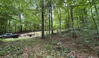 9999 Countryside Est, Barnardsville, NC 28709