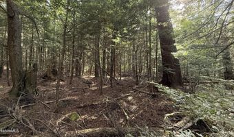 Lot6B Hopkins Ln, Becket, MA 01223