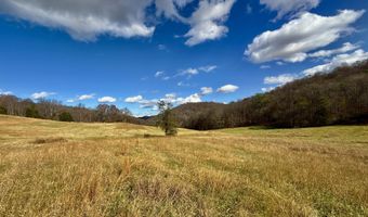 1520 Brittontown Rd, Afton, TN 37616