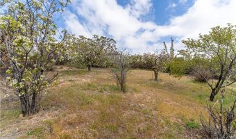 29972 Chihuahua Valley Rd, Warner Springs, CA 92086