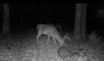 1900 Nelson, Antlers, OK 74525